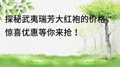 探秘武夷瑞芳大红袍的价格，惊喜优惠等你来抢！