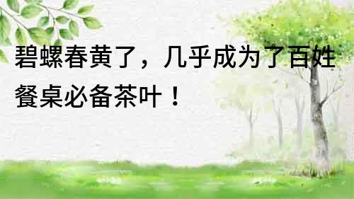碧螺春黄了,几乎成为了百姓餐桌必备茶叶!