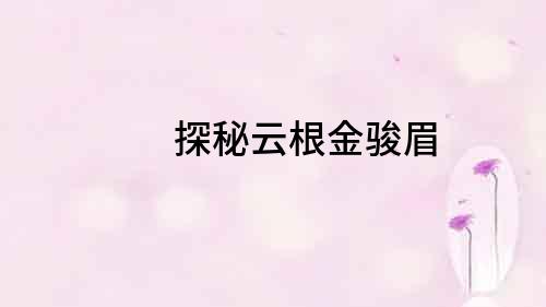 探秘云根金骏眉