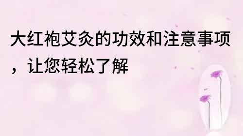 大红袍艾灸的功效和注意事项，让您轻松了解