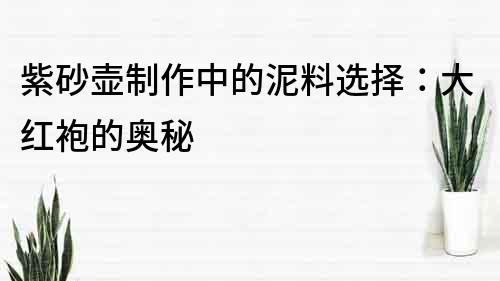 紫砂壶制作中的泥料选择：大红袍的奥秘