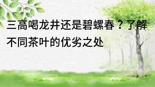 三高喝龙井还是碧螺春？了解不同茶叶的优劣之处