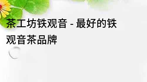 茶工坊铁观音 - 最好的铁观音茶品牌