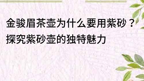 金骏眉茶壶为什么要用紫砂？探究紫砂壶的独特魅力