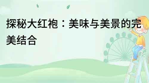 探秘大红袍：美味与美景的完美结合