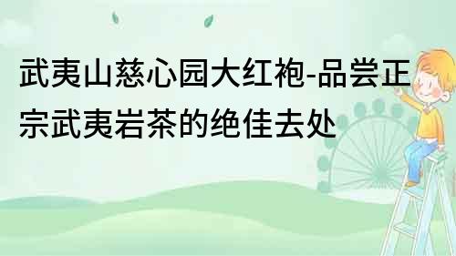武夷山慈心园大红袍-品尝正宗武夷岩茶的绝佳去处