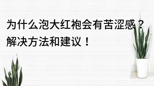为什么泡大红袍会有苦涩感？解决方法和建议！