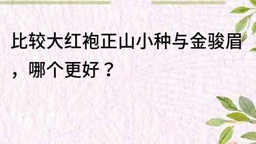 比较大红袍正山小种与金骏眉，哪个更好？