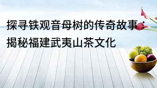 探寻铁观音母树的传奇故事：揭秘福建武夷山茶文化