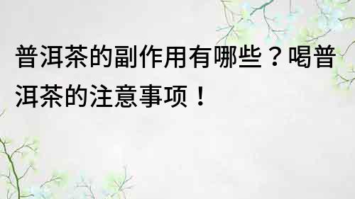 普洱茶的副作用有哪些？喝普洱茶的注意事项！