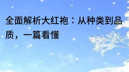 全面解析大红袍：从种类到品质，一篇看懂